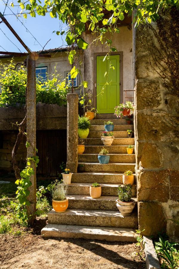Casas Casal De Nino Βίλα Celorico De Basto Εξωτερικό φωτογραφία