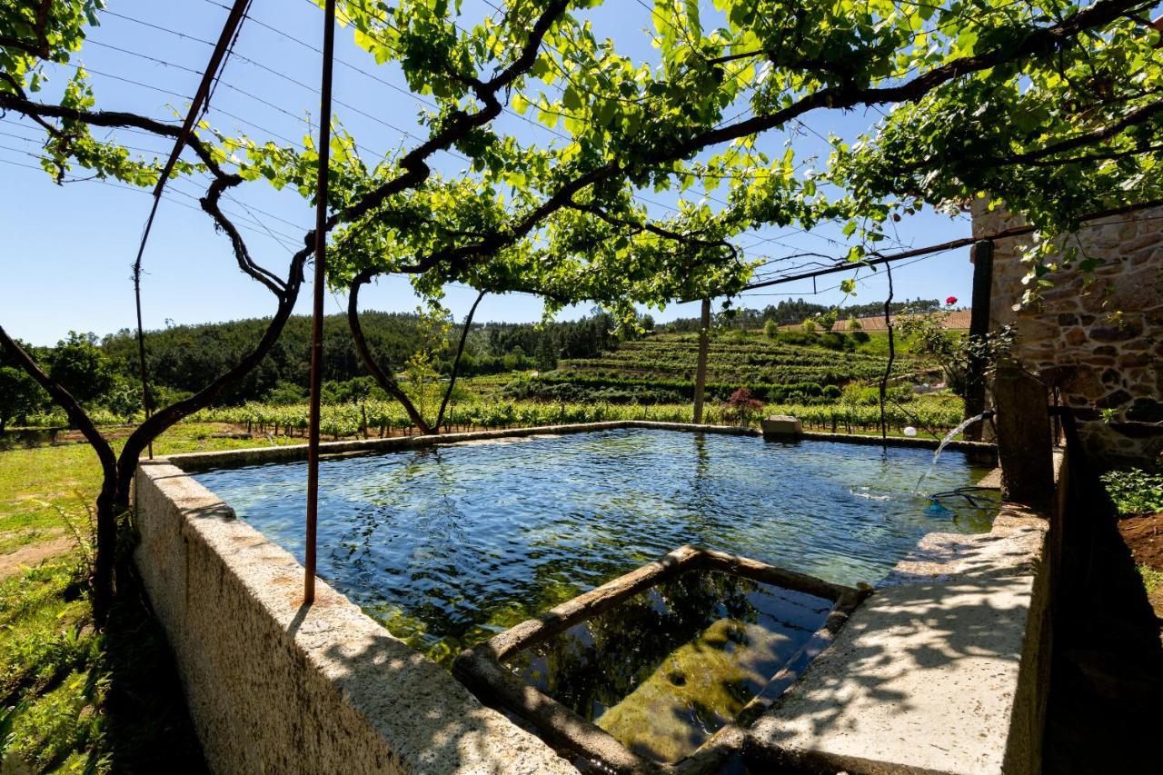 Casas Casal De Nino Βίλα Celorico De Basto Εξωτερικό φωτογραφία